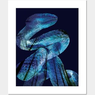 Aqua Snake Posters and Art
